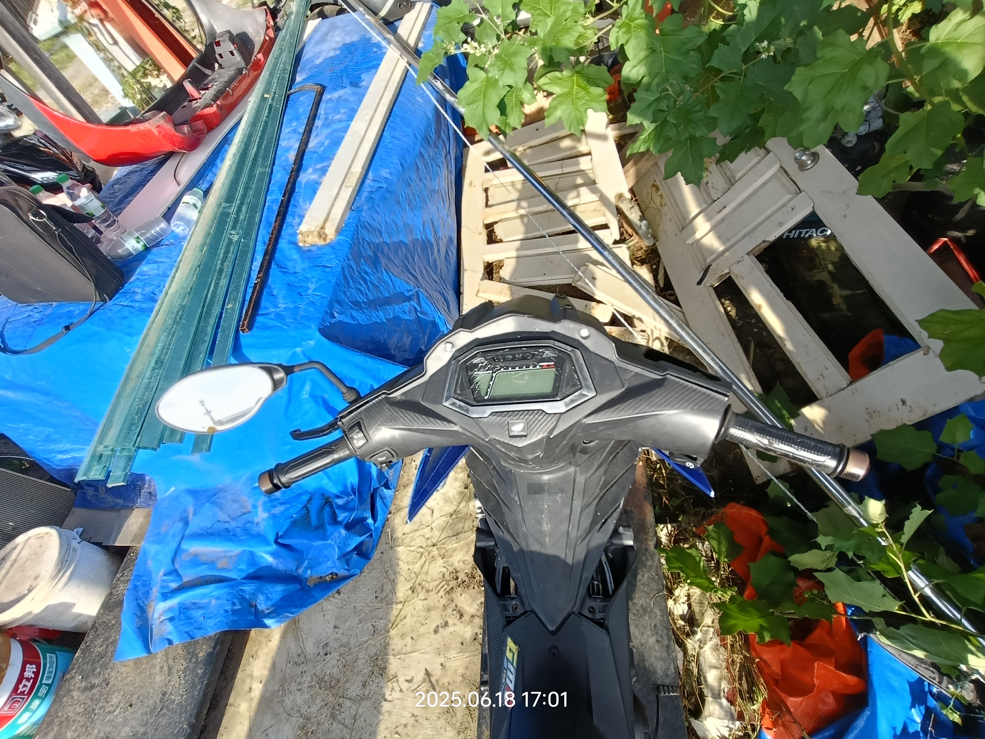 Image 5