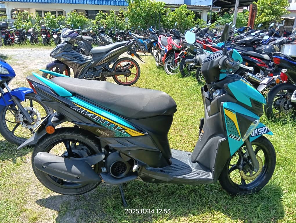 Image 6