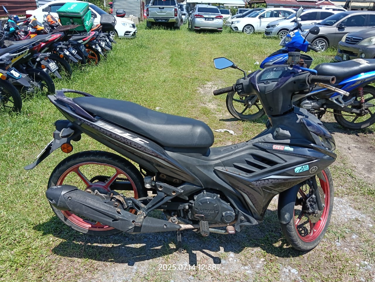 Image 5