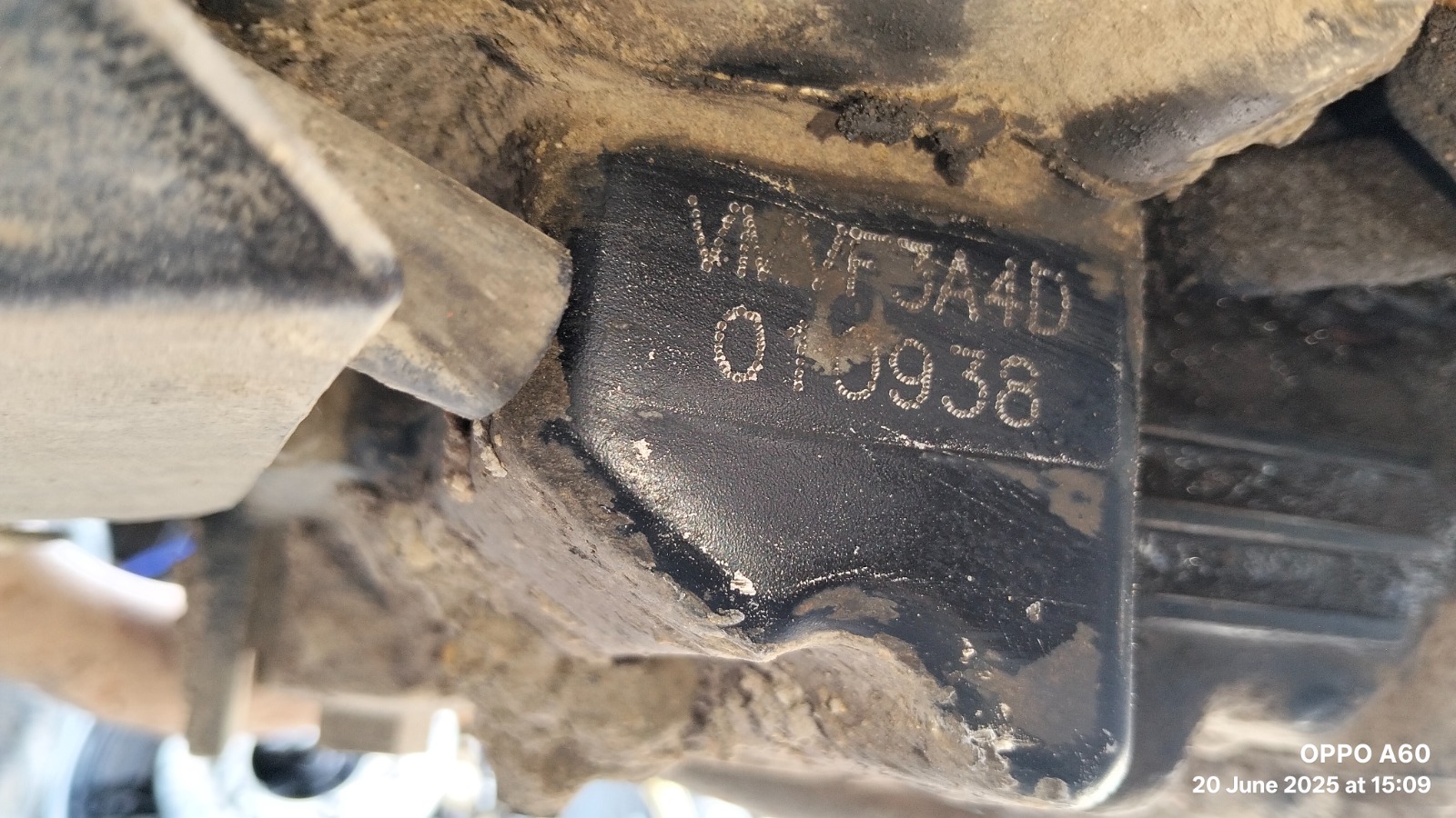 Image 8