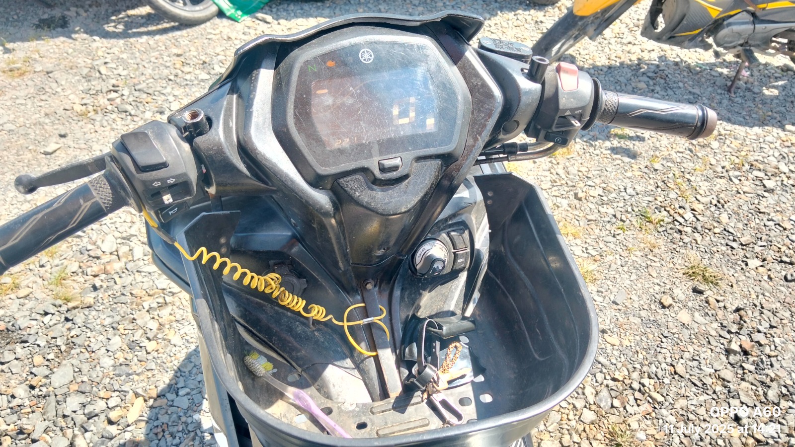 Image 7