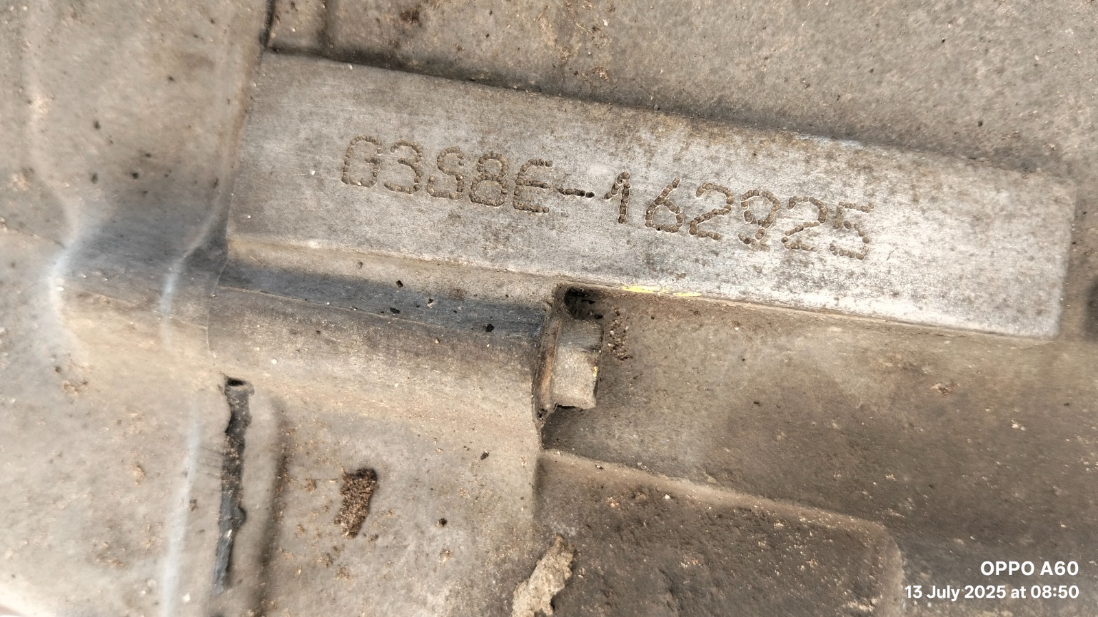 Image 7