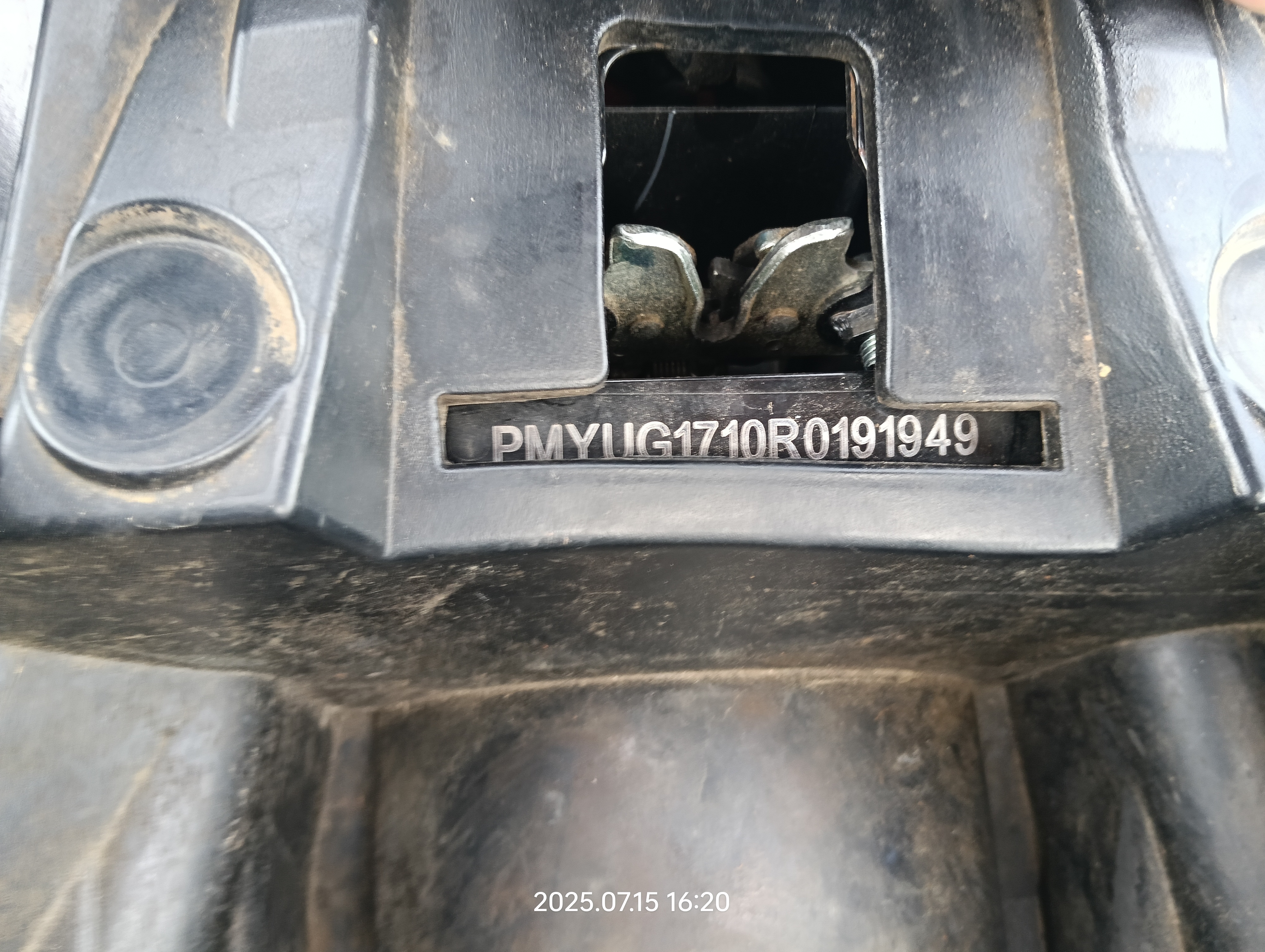 Image 7