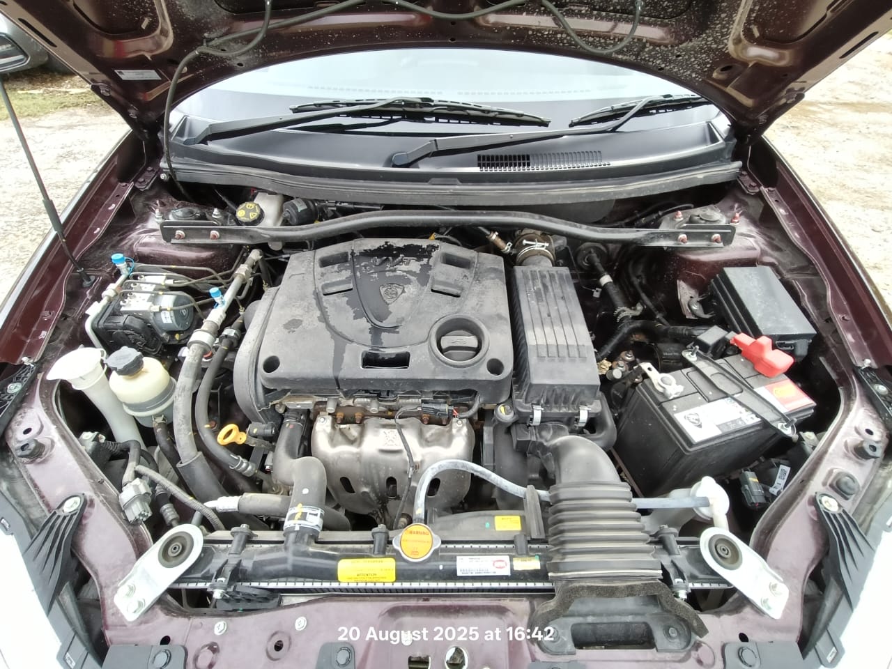 Image 8