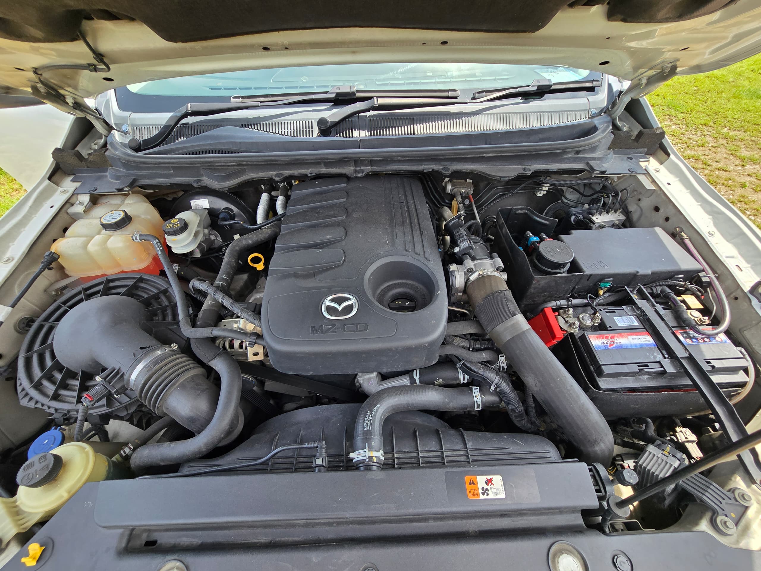Image 7
