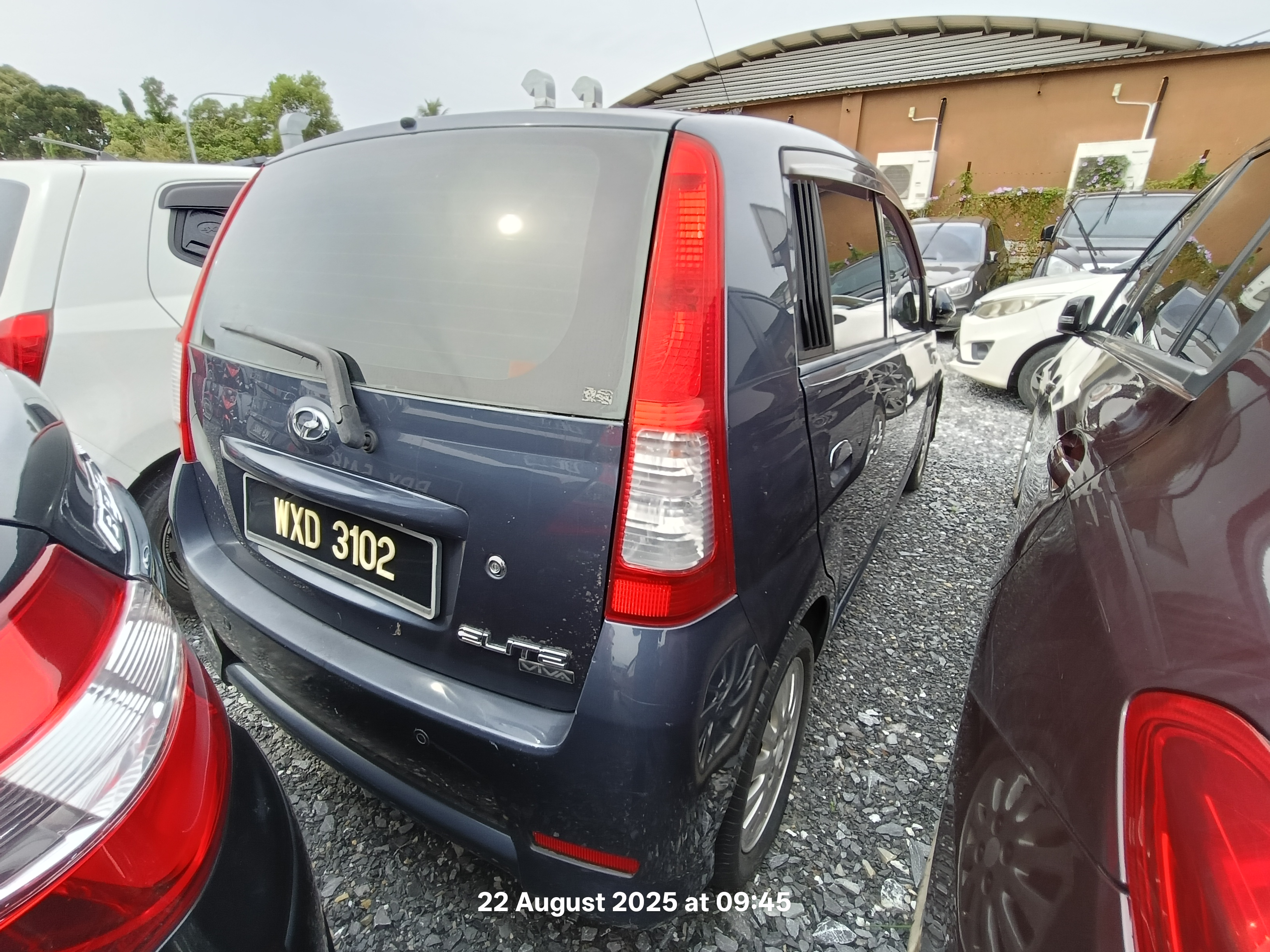 Image 4