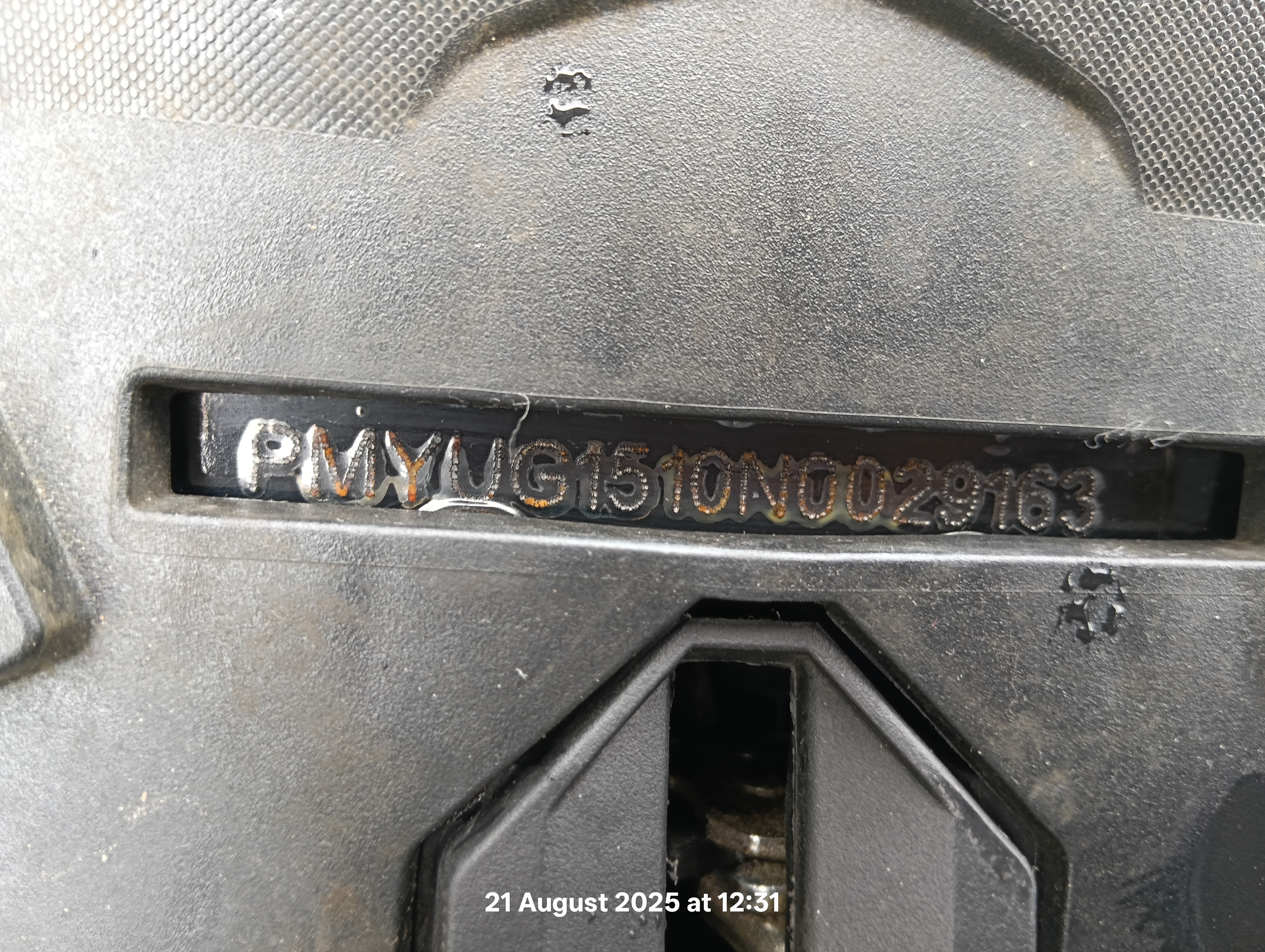 Image 7
