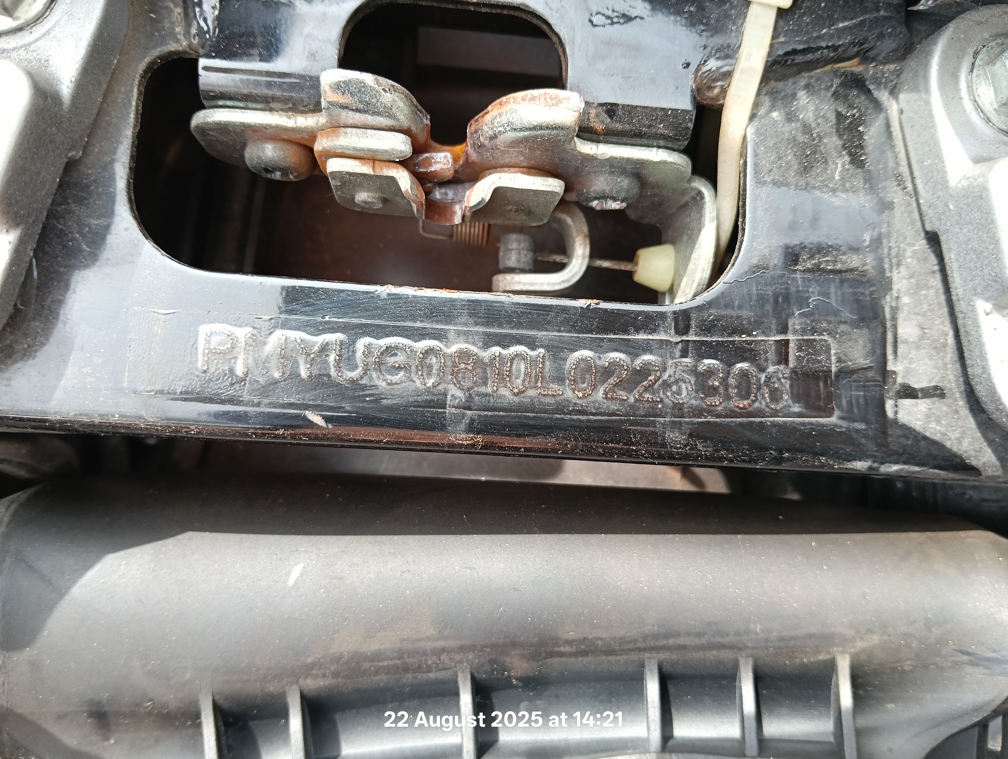 Image 6