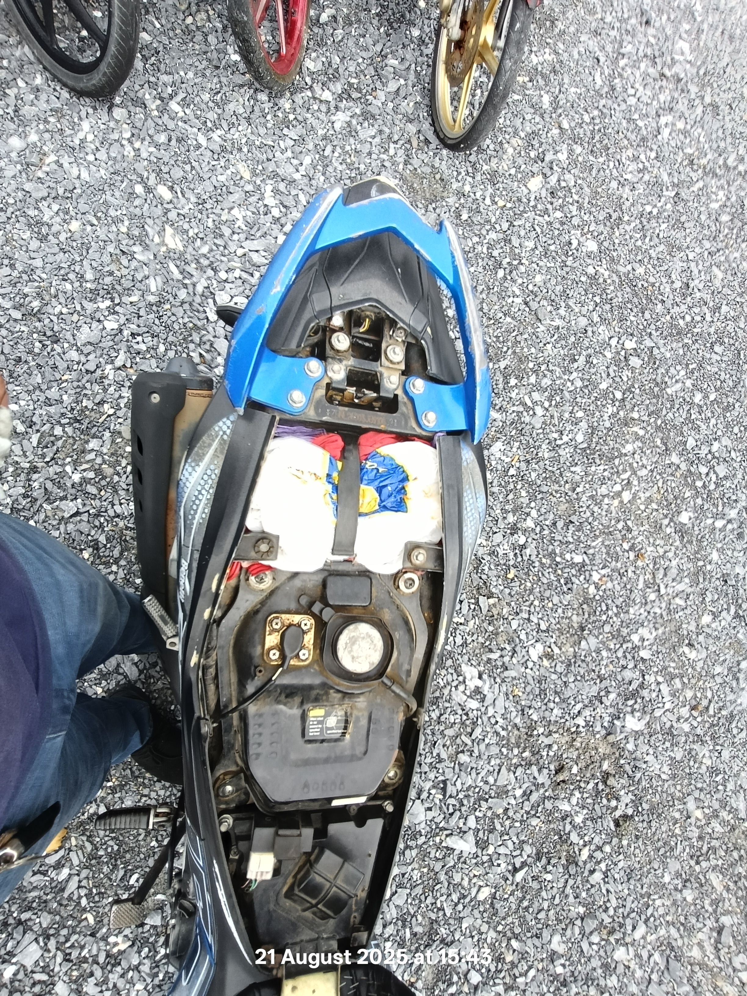Image 6