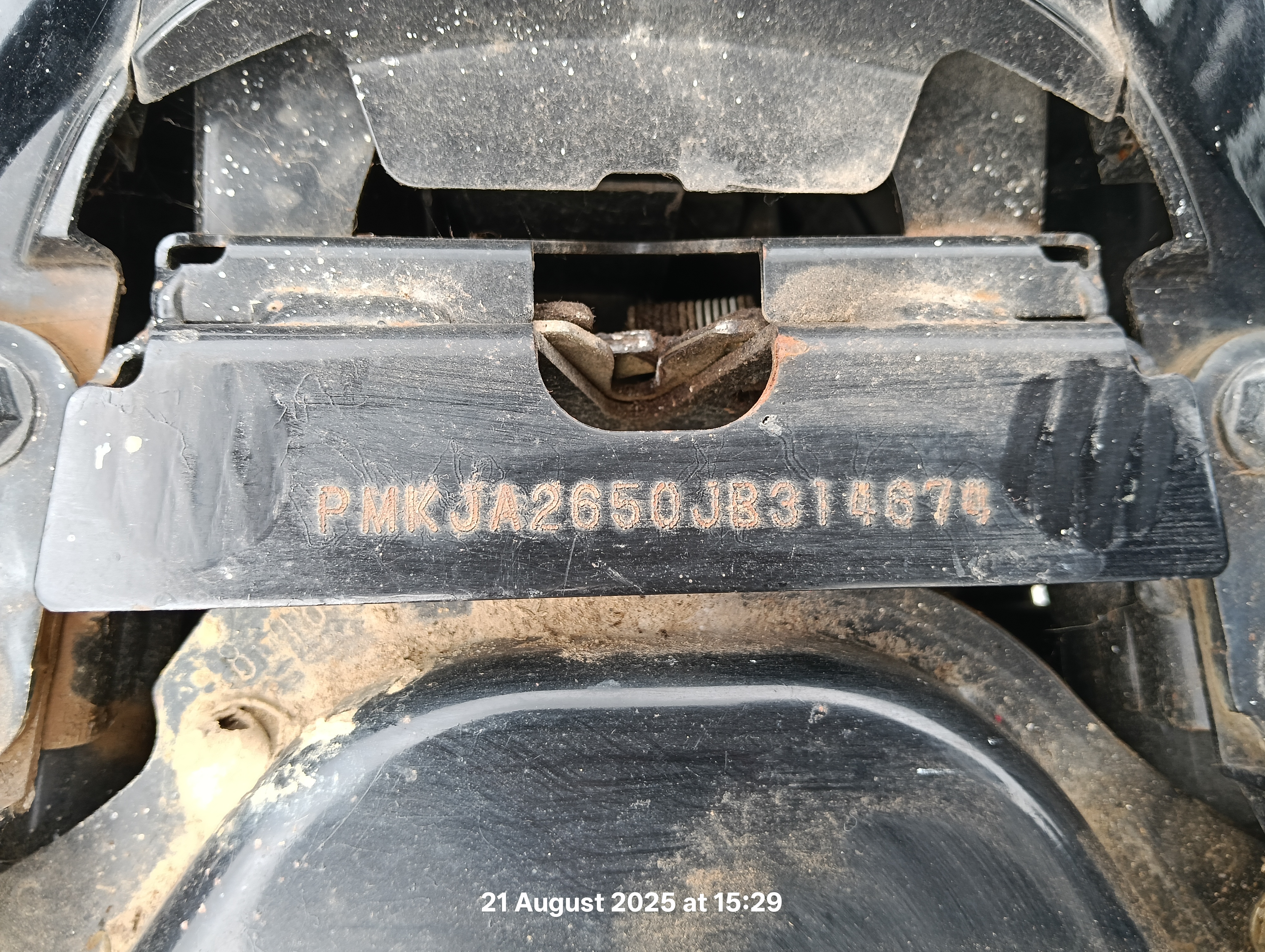 Image 7