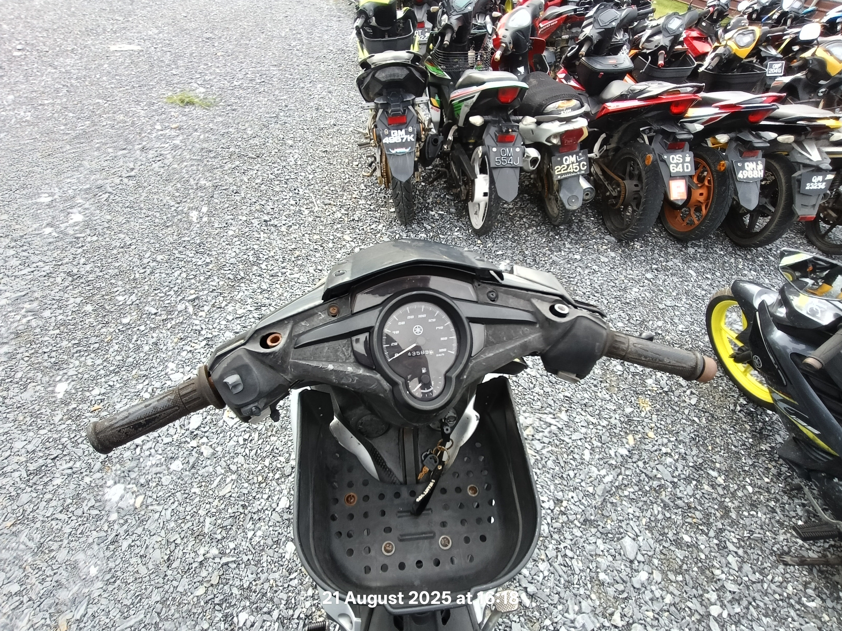 Image 5