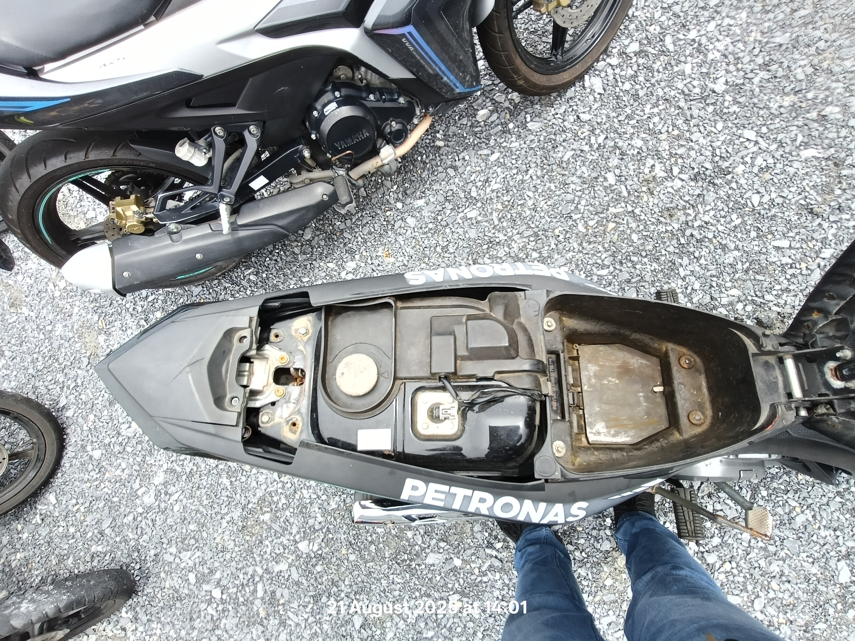 Image 6