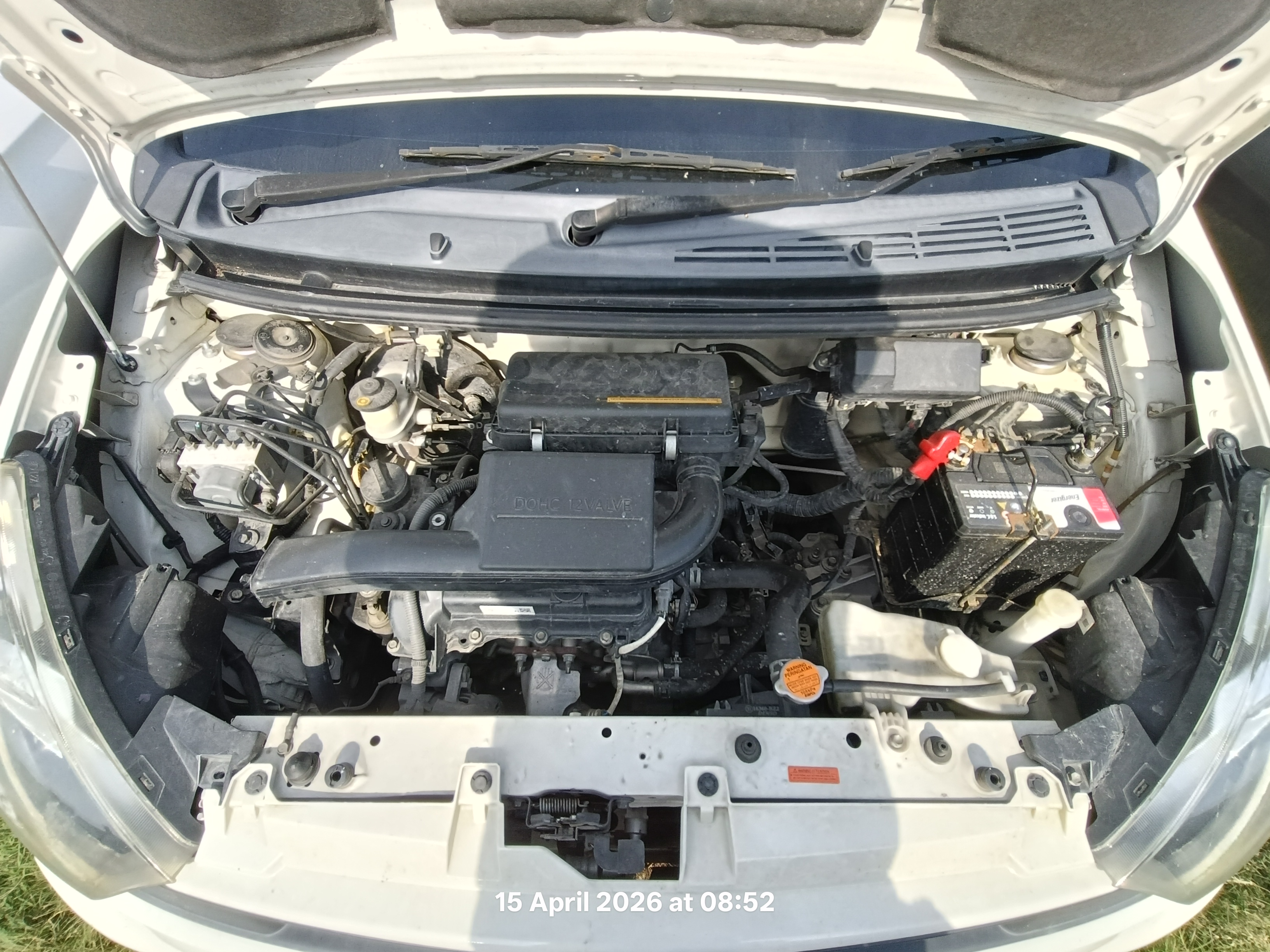 Image 8