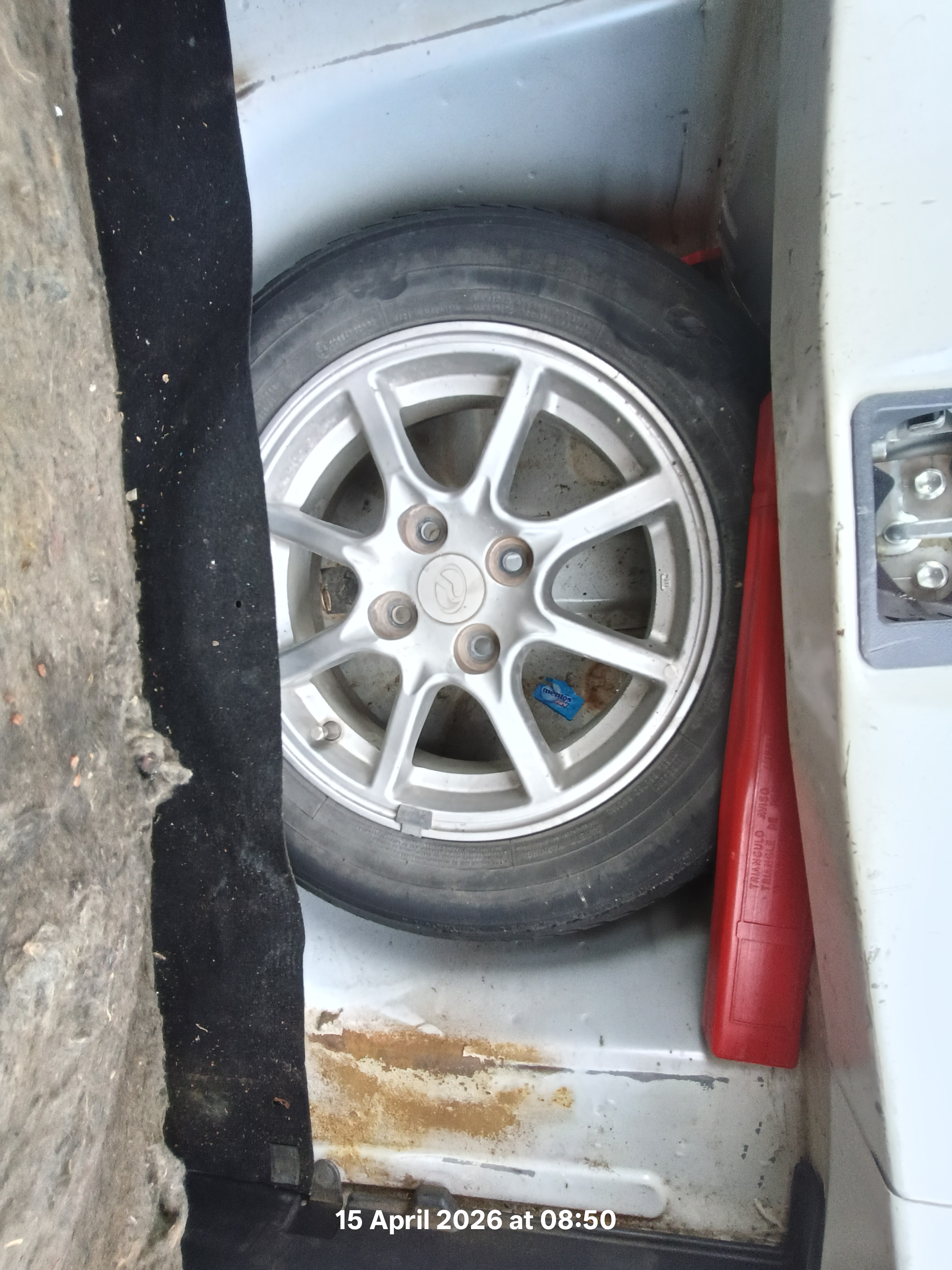 Image 7