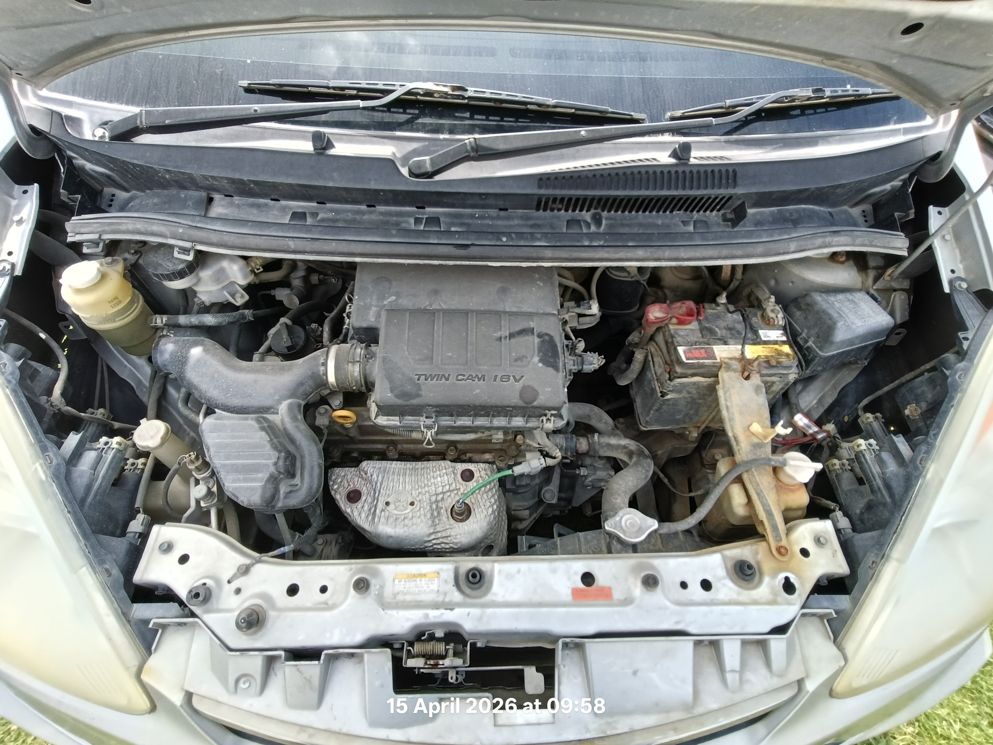 Image 8
