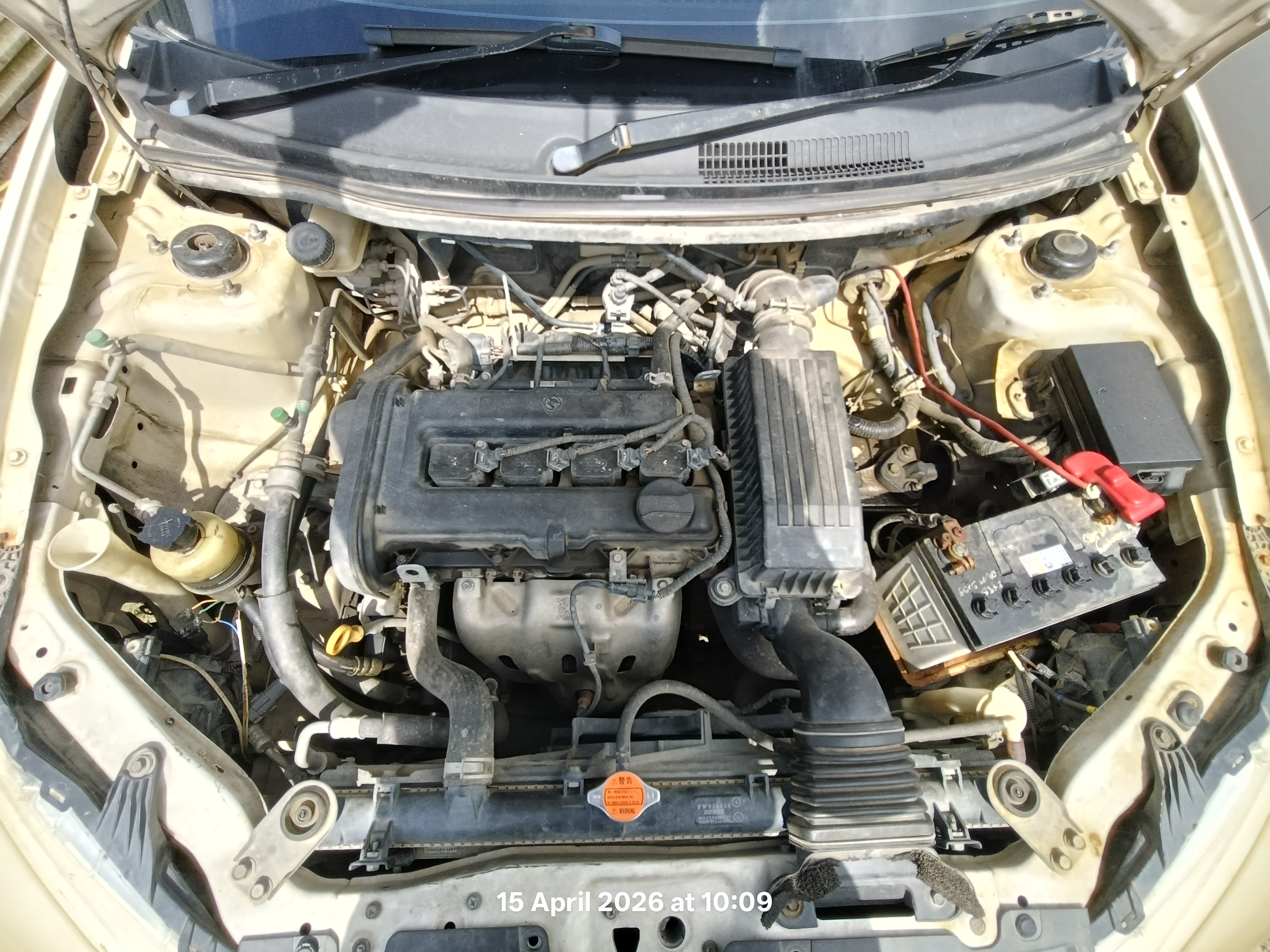 Image 8